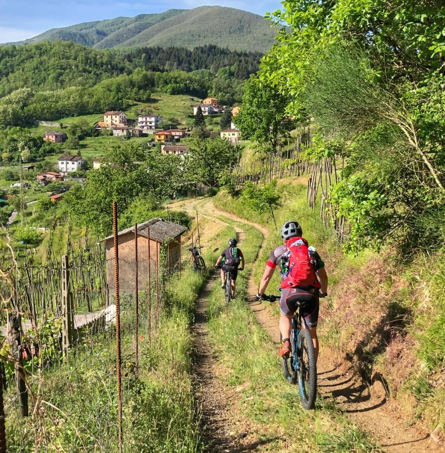 La Locanda Del Moro Pieve Fosciana Екстериор снимка