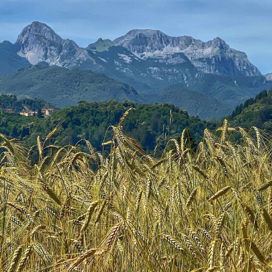 La Locanda Del Moro Pieve Fosciana Екстериор снимка
