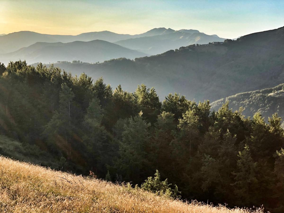 La Locanda Del Moro Pieve Fosciana Екстериор снимка