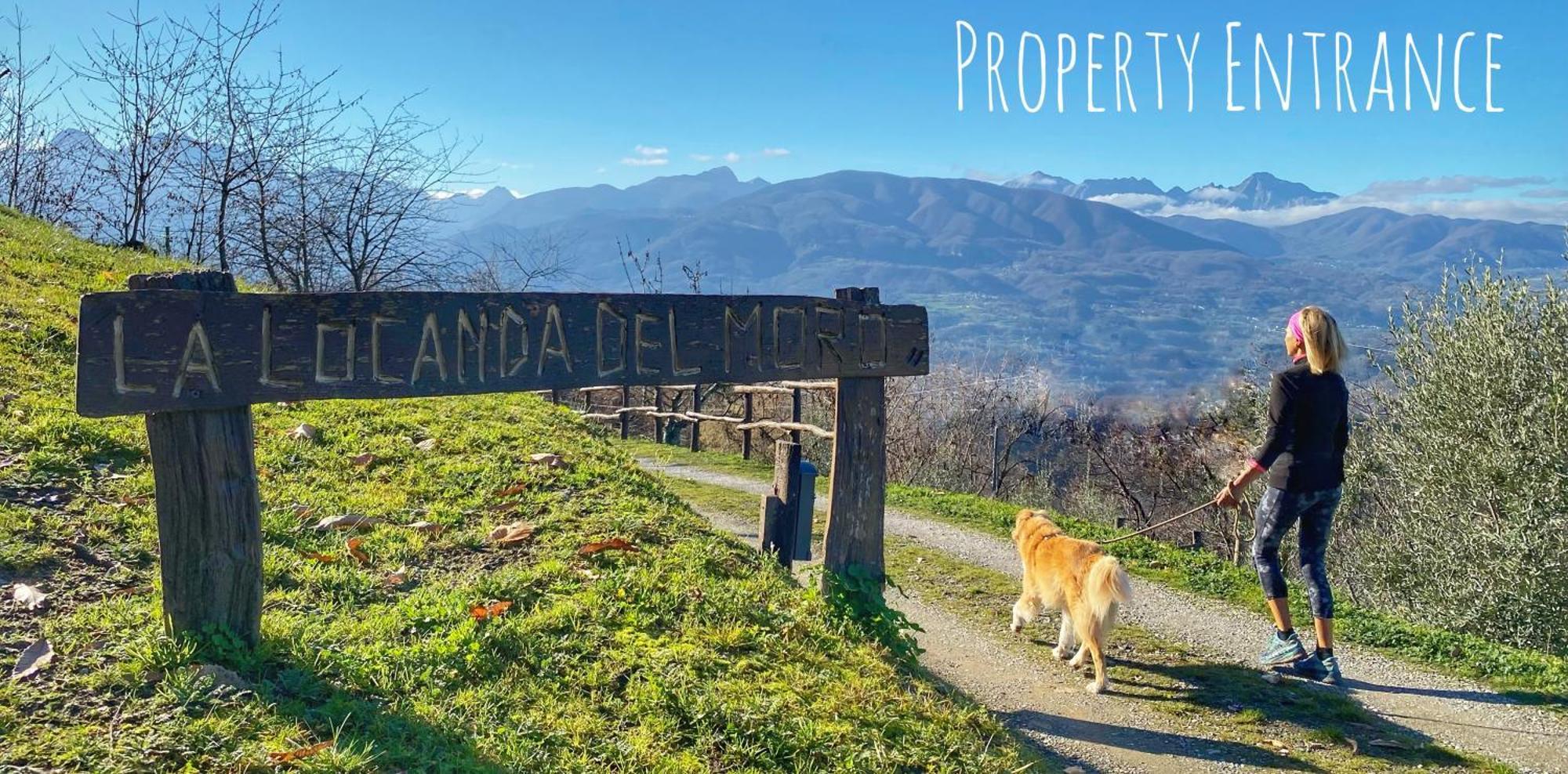 La Locanda Del Moro Pieve Fosciana Екстериор снимка